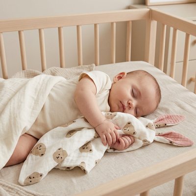 Doudou tête d'ours avec bébé dort